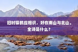 望沧浪、翠痕凉浸，丝丝似结连理。出自哪首诗？