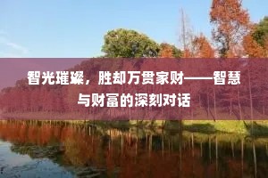 智光璀璨，胜却万贯家财——智慧与财富的深刻对话