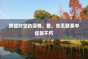 跨越时空的深情，爱，在无联系中绽放不朽