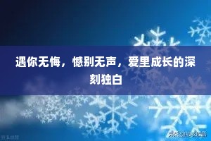 遇你无悔，憾别无声，爱里成长的深刻独白