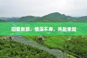 旧爱新旅，情深不寿，共赴未知