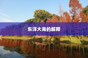 东洋大海的解释