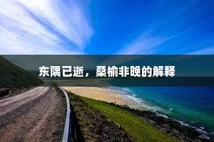 东隅已逝，桑榆非晚的解释