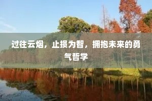过往云烟，止损为智，拥抱未来的勇气哲学