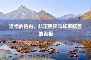 迟悟的告白，航班延误与红茶瓶盖的真相