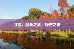引言，温柔之盾，锋芒之铠