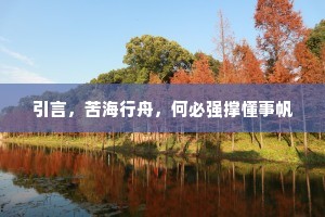 引言，苦海行舟，何必强撑懂事帆