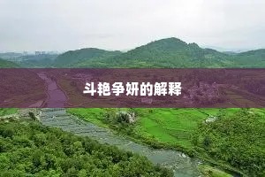 斗艳争妍的解释