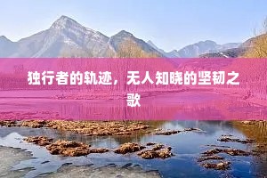 独行者的轨迹，无人知晓的坚韧之歌
