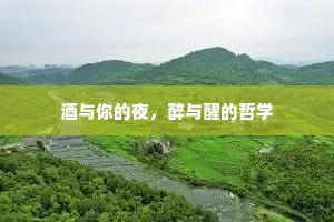 酒与你的夜，醉与醒的哲学