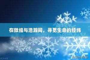 在微缩与浩瀚间，寻觅生命的经纬