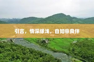 引言，情深缘浅，自知非良伴