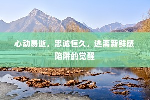 心动易逝，忠诚恒久，逃离新鲜感陷阱的觉醒