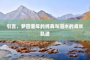 引言，梦回童年的纯真与泪水的成长轨迹