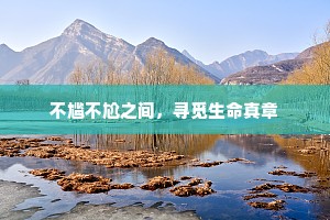 不尴不尬之间，寻觅生命真章