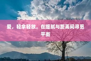 爱，轻拿轻放，在细腻与距离间寻觅平衡