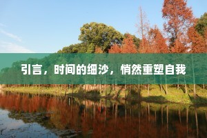 引言，时间的细沙，悄然重塑自我