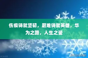伤痕铸就坚韧，磨难铸就英雄，华为之路，人生之鉴
