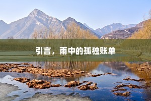 引言，雨中的孤独账单