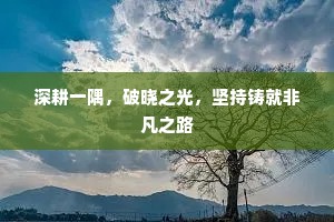 深耕一隅，破晓之光，坚持铸就非凡之路