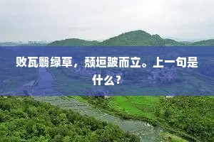 进可替否的成语解释