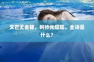 霜冷金椎关外到，秋高玉帐月中来。的解释