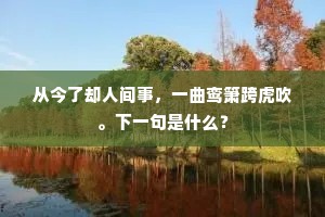 高怀清似鹤，谁遣谩多忧。的释义