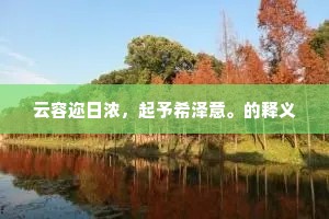 江连王子宅，山入仲宣楼。的解释