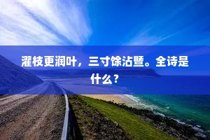 尽责以赴，国民之魂，铸就辉煌人生路