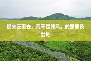 生命之重，自尊为基，迪迪安笔下的责任与尊严