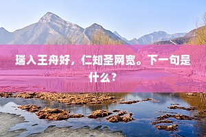 万象销沉一瞬间，空馀月外闻残佩。出自哪首诗？