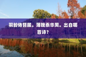 背负国魂与恨意，行走在世间的深刻轨迹