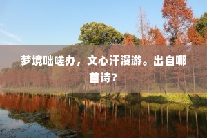 精兵简政的成语解释