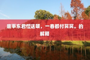 坦率的勇气，无悔之路的璀璨星光