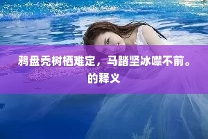 鲸波鼍浪的解释