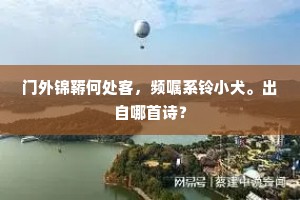 绿鬓妙才郎，高风古雁行。全诗是什么？