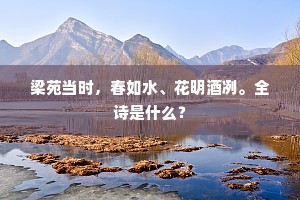 空去主人睡，明朝醉未兴。的释义