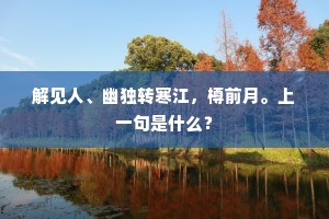 飞觞共醉三更月，对局还敲半夜钟。下一句是什么？