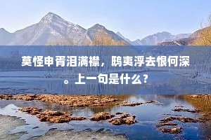 衾单食少容色变，恶裳不留慈母线。的意思及出处