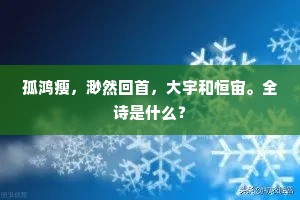 吾侪洗眼来，未要烦供张。下一句是什么？