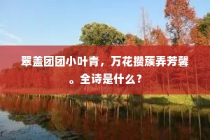 明河织女夜何如，赋里相如事转虚。的释义