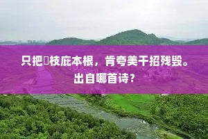 便可放怀天地外，揽将奇思援孤琴。出自哪首诗？