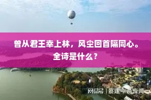东党英雄沦末路，南朝丝管入沉悲。的意思及出处