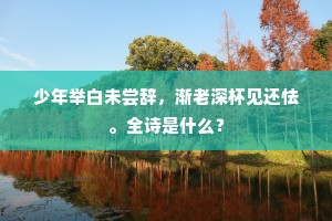 侧身莫上龙冈望，朔漠荒寒旅雁哀。下一句是什么？