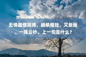 日暮淡忘归，蘋花怅难撷。出自哪首诗？