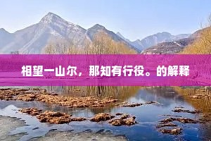 天地有和气，想为桐之腴。的解释