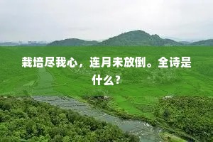 愿奢力不充，驽马踬长路。的意思及出处