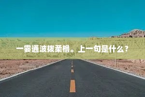 孚愧未盈缶，井起徒射鲋。的解释