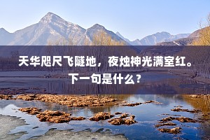 洞悉人心，以爱为钥，共赴灵魂深处的共鸣