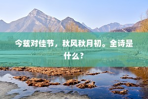 揭穿虚伪面纱，真谦让在假意中消逝的警世恒言